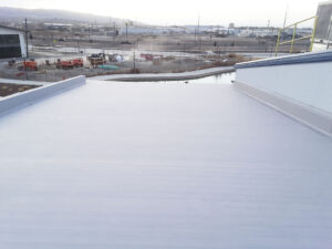 Light Grey TPO Roof